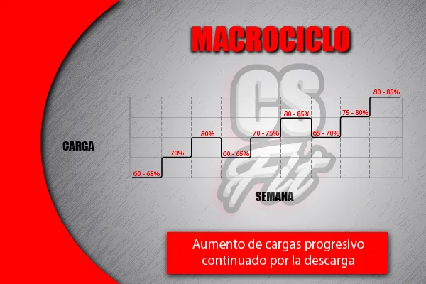 Ciclo de entrenamiento largo.